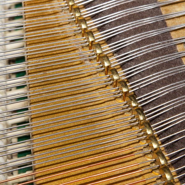 PT 032 or 033 canstockphoto 7 sm