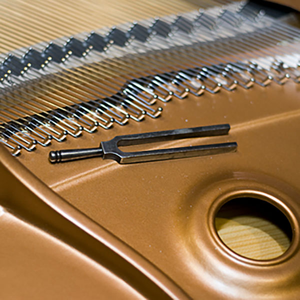 PT-POSS-032-dreamstime-tuning-fork-sm